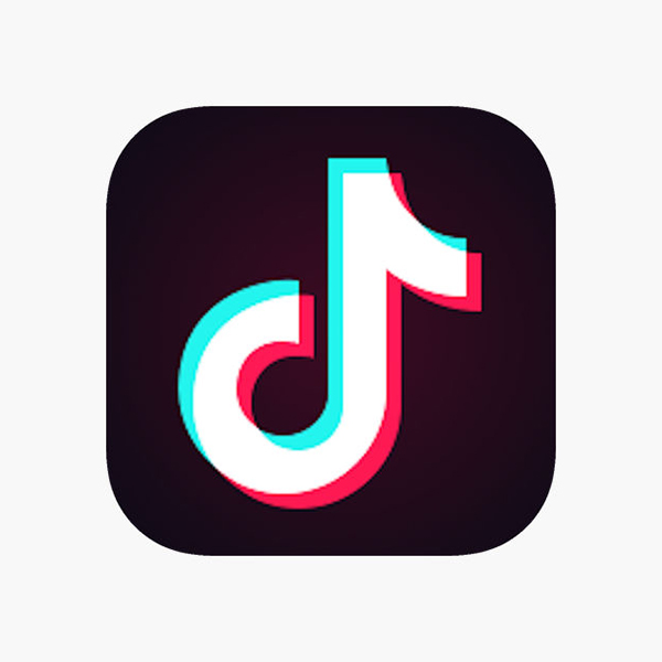 download the app tiktok